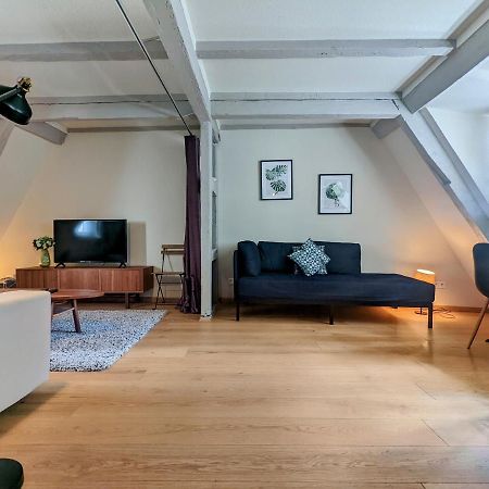 Citycosy Strasbourg - Authentique Batelier Eksteriør billede