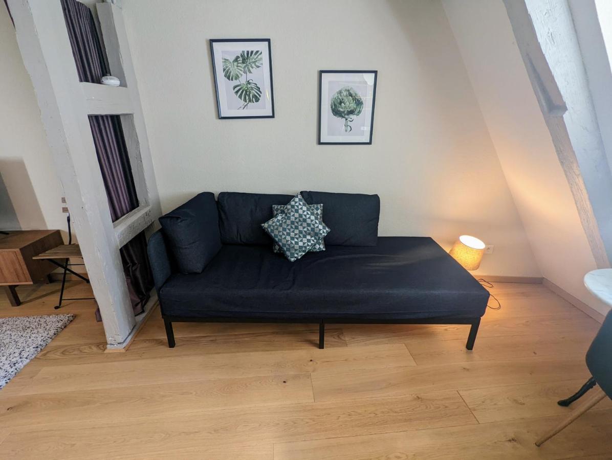 Citycosy Strasbourg - Authentique Batelier Eksteriør billede